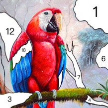 جدیدترین نسخه Paint By Number