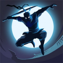 دانلود نسخه جدید و آخر Shadow Knight