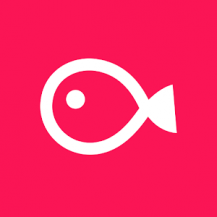 دانلود Vimo - Video Motion Sticker and Text Premium - ویرایشگر ویدئو سرگرم کننده اندروید دانلود Vimo - Video Motion Sticker and Text Premium - ویرایشگر ویدئو سرگرم کننده اندروید