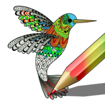 دانلود سرگرمی Colouring