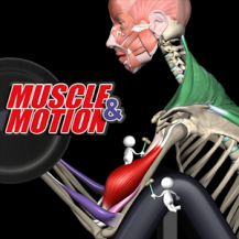 دانلود کاملترین و جدیدترین نسخه Strength Training