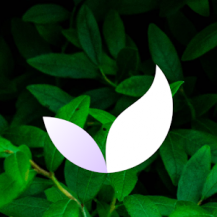 دانلود آرامش و تمرکز Deep Meditate