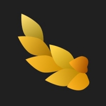 جدیدترین نسخه NYMF