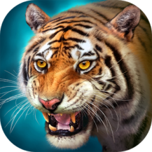 آخرین نسخه شبیه سازی The Tiger