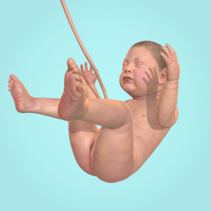 دانلود کاملترین و جدیدترین نسخه 9 Months