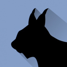 نسخه جدید و کامل Lynx Launcher