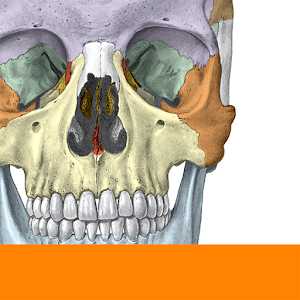 دانلود نسخه جدید Sobotta Anatomy