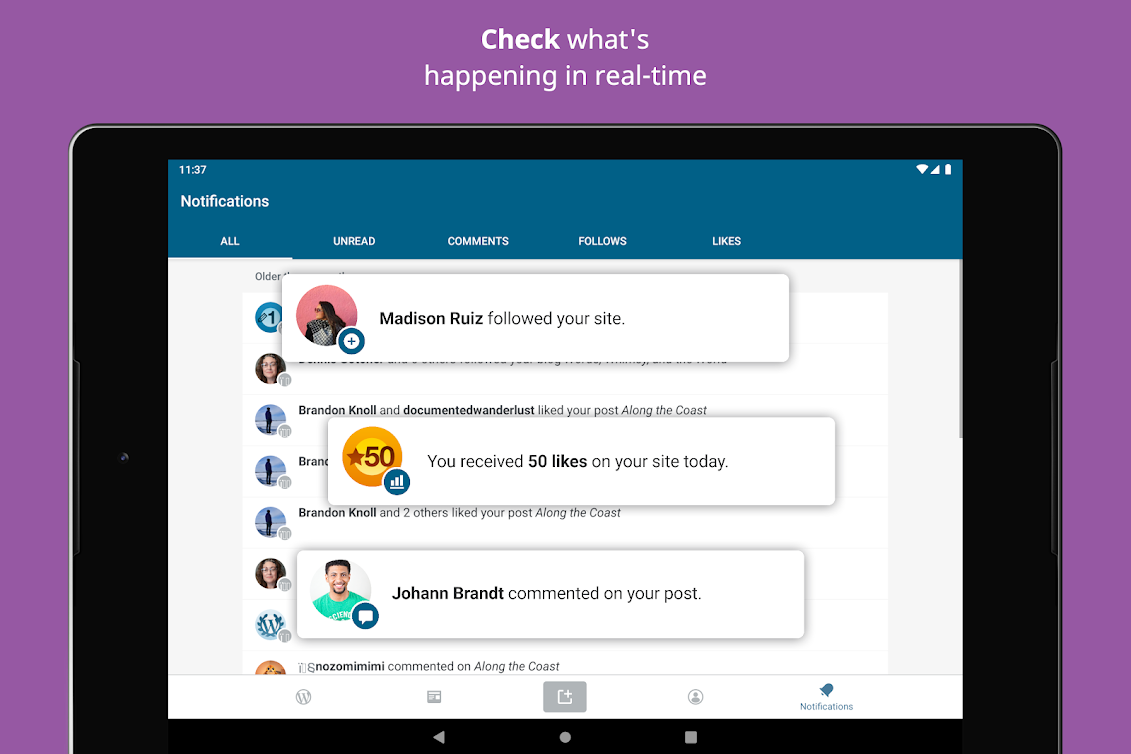 WordPress-11.png WordPress-11.png