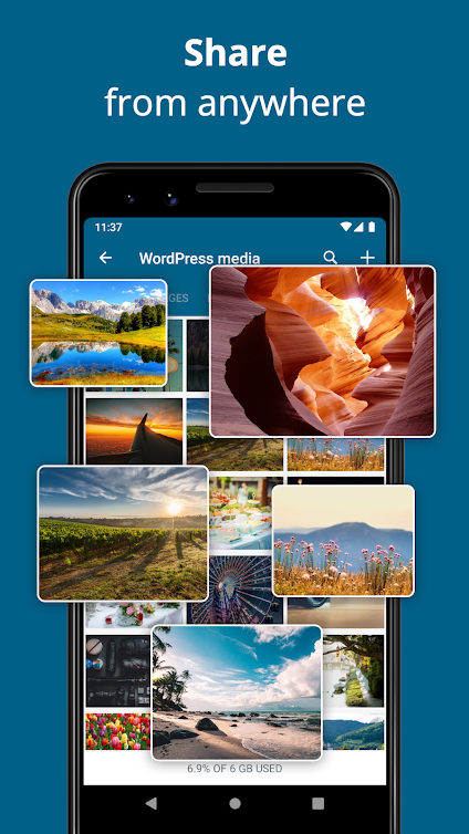 WordPress-6.png WordPress-6.png
