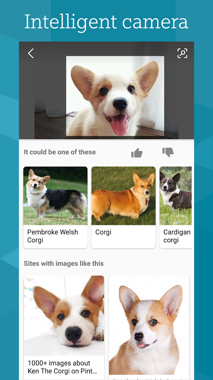 Bing-7.jpg Bing-7.jpg