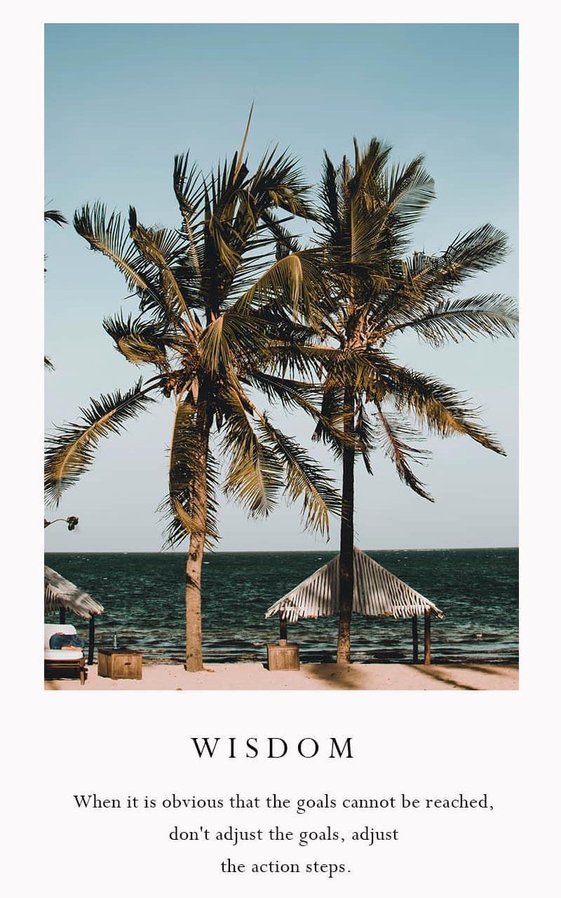Insta-Story-Art-Maker-for-Instagram-StoryChic.3_1.jpg