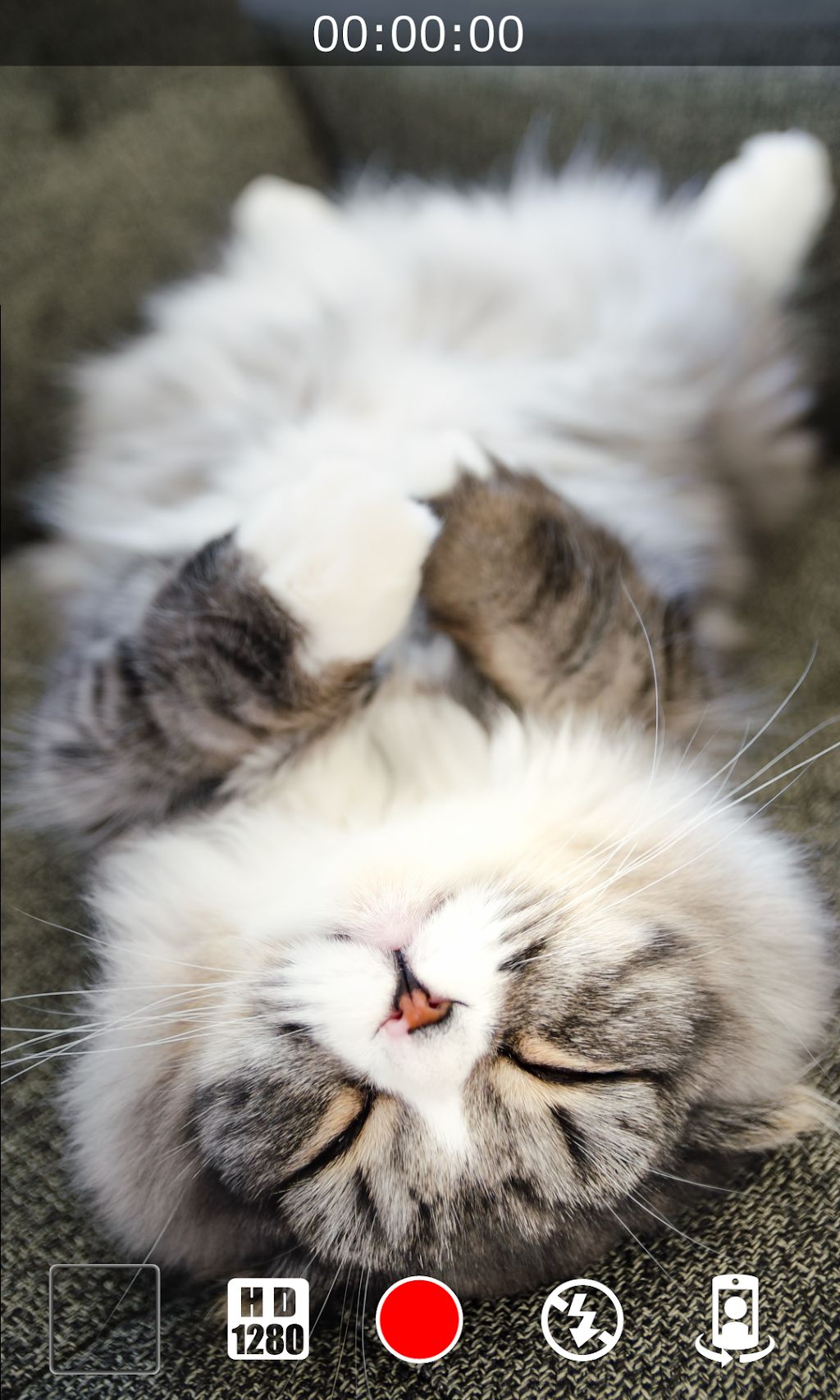 Silent-Video.2.jpg Silent-Video.2.jpg