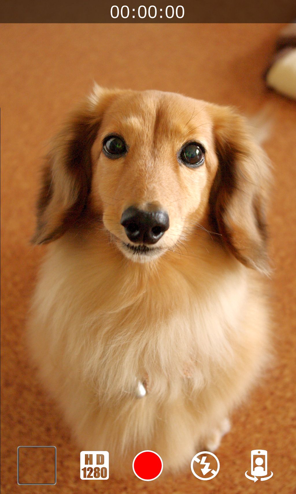 Silent-Video.6.jpg Silent-Video.6.jpg