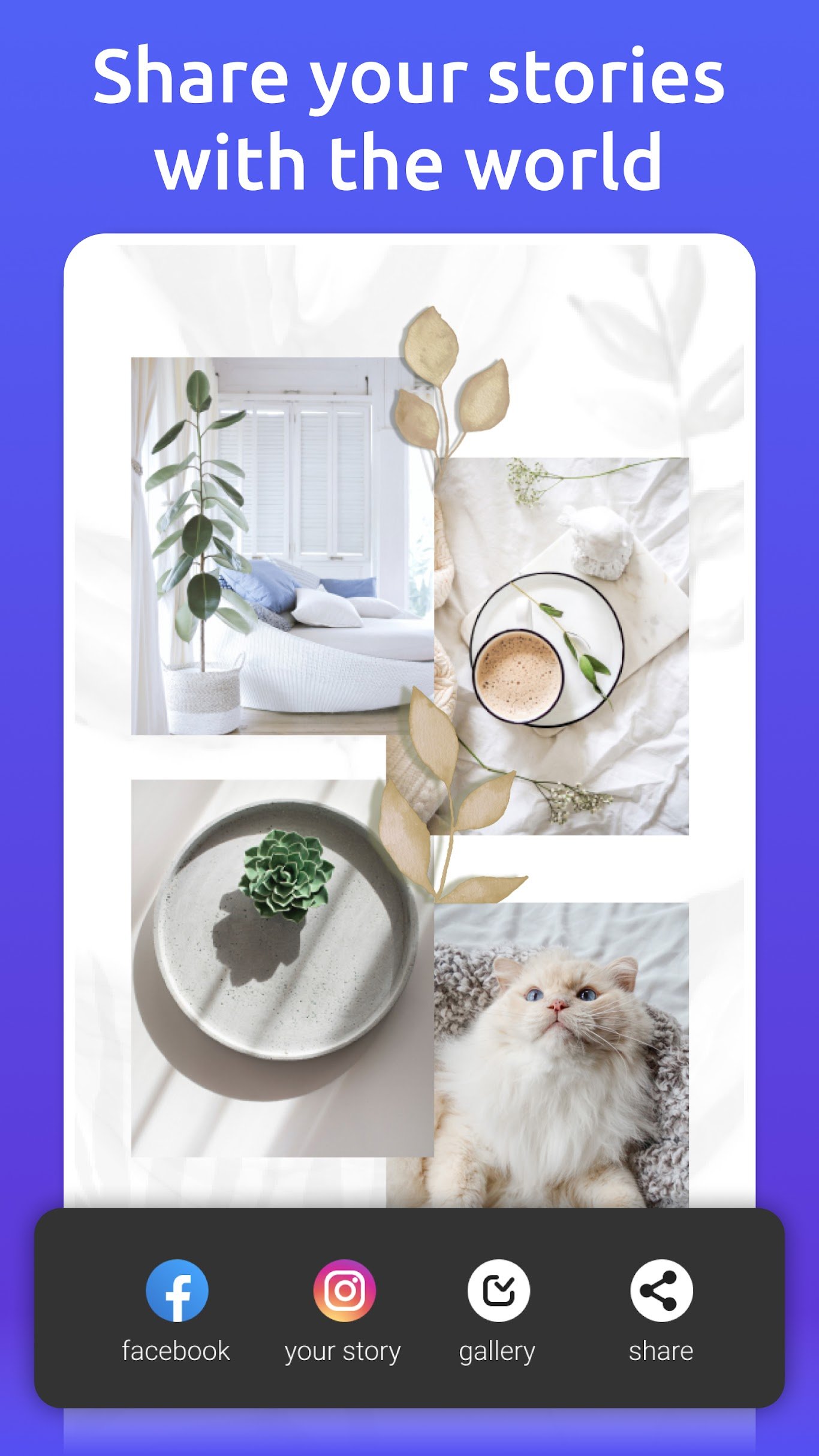 Inspiry-Stories-Editor-for-Instagram.7.jpg